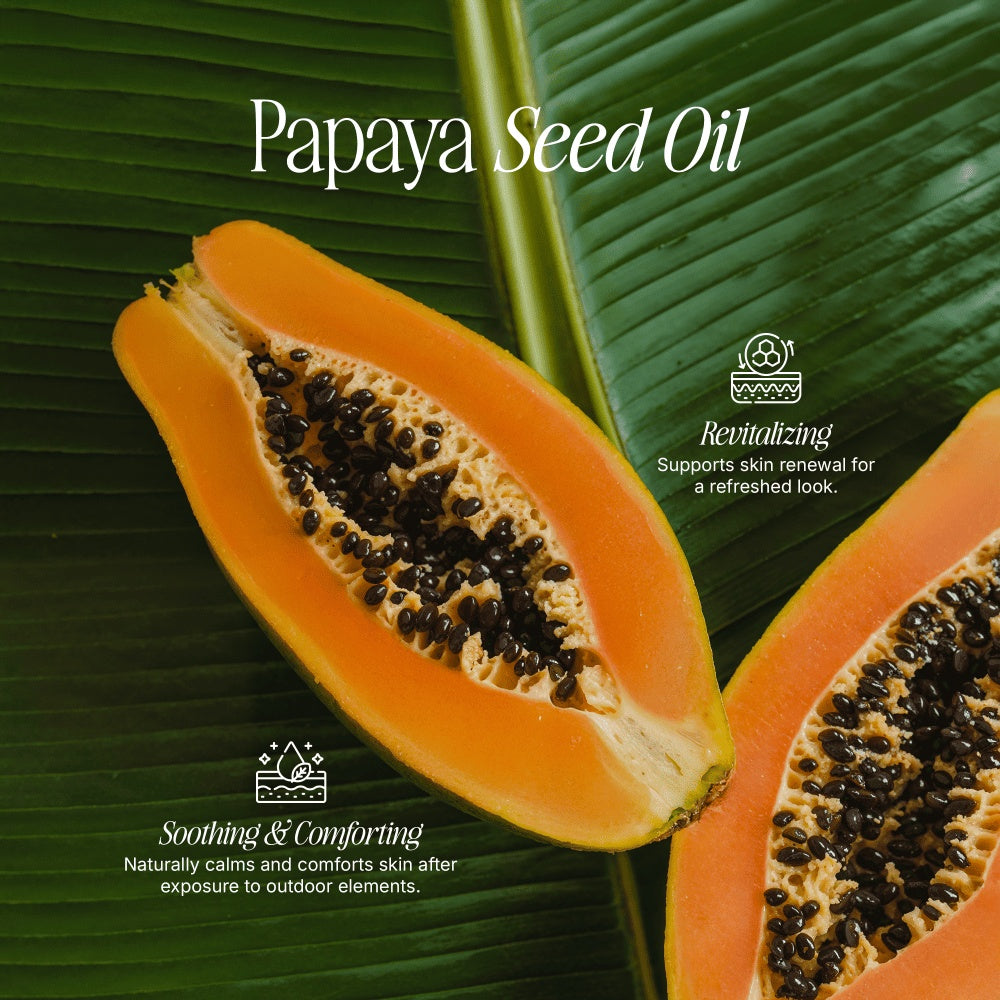 Tallow Zinc Sun Stick Pack of 2